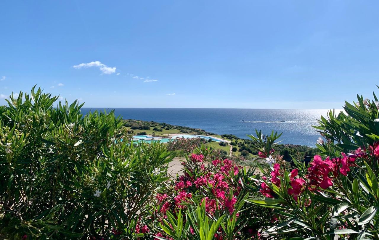 Villa Kalypso - Porto Cervo Extérieur photo
